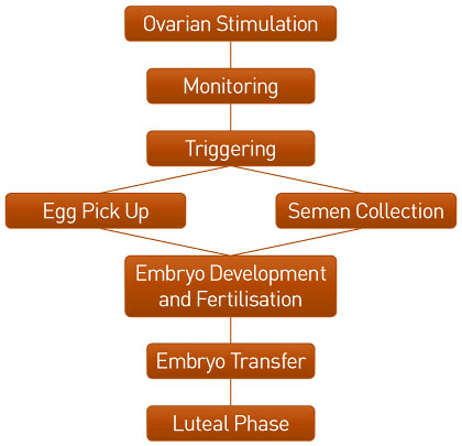 Test Tube Baby | Infertility | Mauli Test Tube Baby | Indira IVF Satara | IVF | Fertility SA IVF Cycle